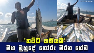 Incredible Seer Fish Haul A Fishermans Skill on Display Sri Lanka I Hook Fishing In SeaSri Lanka [upl. by Lamrouex875]