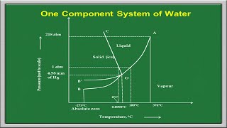 Phase Rule  One Component System [upl. by Ynnij]