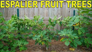 How To Grow Star Confederate Jasmine for maximum profit [upl. by Mella]