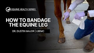 How to Bandage the Equine Leg [upl. by Neira]