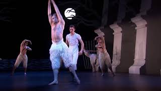 Matthew Bourne΄s Swan Lake 2012  swan dance  long [upl. by Louis838]