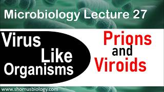 Prions and viroids [upl. by Macey]