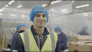 A Day In The Life Of  a vegetable packing factory [upl. by Daisi]