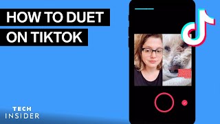 How To Duet On TikTok [upl. by Nylidnarb]