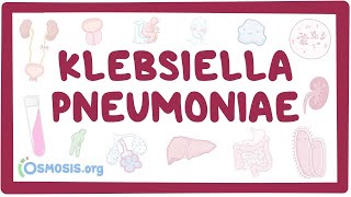 Klebsiella pneumoniae  an Osmosis Preview [upl. by Esinereb]