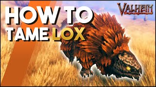 How To Tame Lox In Valheim A Taming Guide For Lox [upl. by Ivel]