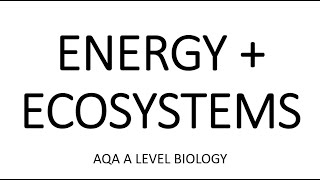 ENERGY amp ECOSYSTEMS  AQA A LEVEL BIOLOGY  EXAM QUESTIONS RUN THROUGH [upl. by Ennayoj578]