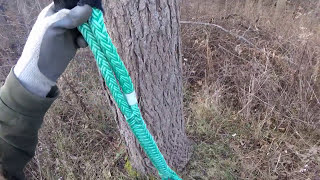 Whoopie Sling Basics  Arborist Rigging [upl. by Ived]