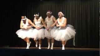 Wyckoff Dads Night 2011 Swan Lake [upl. by Llenra955]