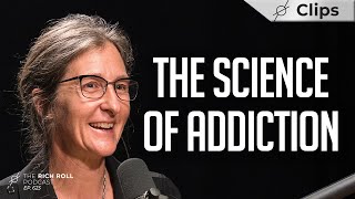 Living in a quotDopamine Nationquot The Neuroscience of Addiction w Anna Lembke [upl. by Odnalor282]