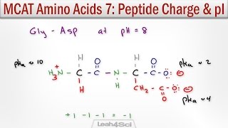 How to Calculate Peptide Charge and Isoelectric Point MCAT Trick [upl. by Aritak]