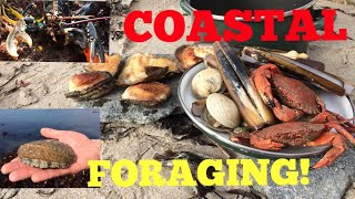 Coastal Foraging  Cook Up On The Beach  Ormers  Abalone  Lobster  Clams and More [upl. by Dhu]