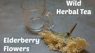 How to make elderberry flower tea [upl. by Knipe]