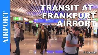 TRANSIT WALK AT FRANKFURT Airport FRA Terminal 1  Connection Flight Transfer Arriving amp Departing [upl. by Elrebmik]