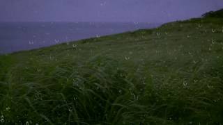 Rain amp Wind Sounds for Sleep amp Relaxation w Distant Thunder amp Ocean Waves  Relaxing White Noise [upl. by Serafina]