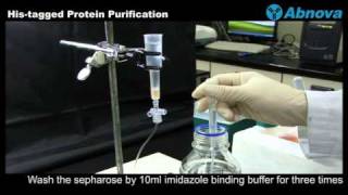 Histagged Protein Purification [upl. by Akerdal]