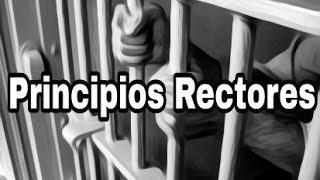 Sistema Procesal Penal Acusatorio y Oral  Principios rectores [upl. by Xila]