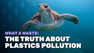 What A Waste The Truth About Plastics Pollution [upl. by Anitsirhcairam]