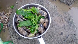 Coastal foraging with Craig Evans razor fish clams and wild greens [upl. by Ahsiekrats]