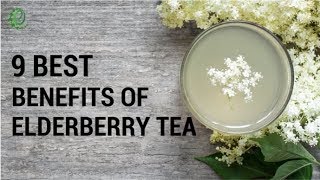 9 Reasons Why Elderberry Tea Is Good For You  Organic Facts [upl. by Mcmurry]