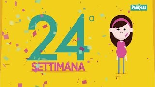 24° settimana di gravidanza [upl. by Fiore]