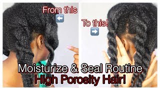 How to Moisturize amp Seal High Porosity Natural Hair  Simply Subrena [upl. by Moreland284]